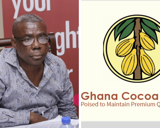 Peter Mac Manu New COCOBOD Chair