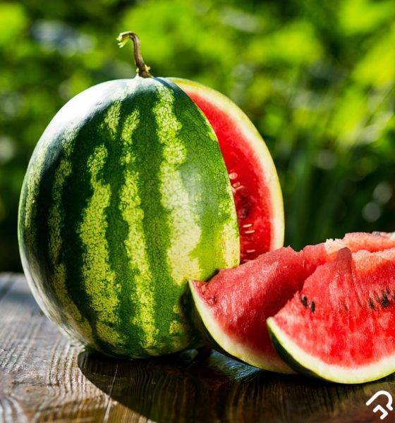 Never throw away your watermelon seeds, this is why.