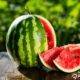 Never throw away your watermelon seeds, this is why.