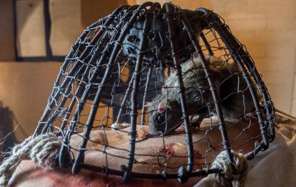 rat torture