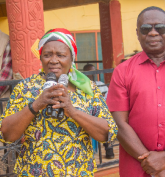 Assin North by-election = Prof. Naana Opoku-Agyemang rallies support for Gyakye Quayson - Accra Mail accramail.com