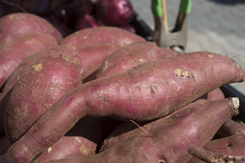 Sweet Potatoes