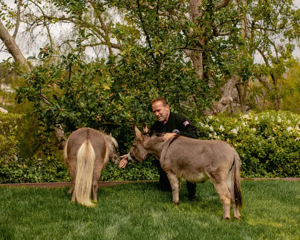 Arnold Schwarzenegger with Whiskey and Lulu