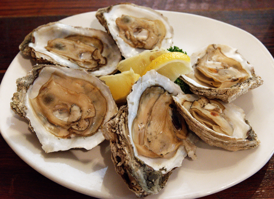 Oyster - Accramail